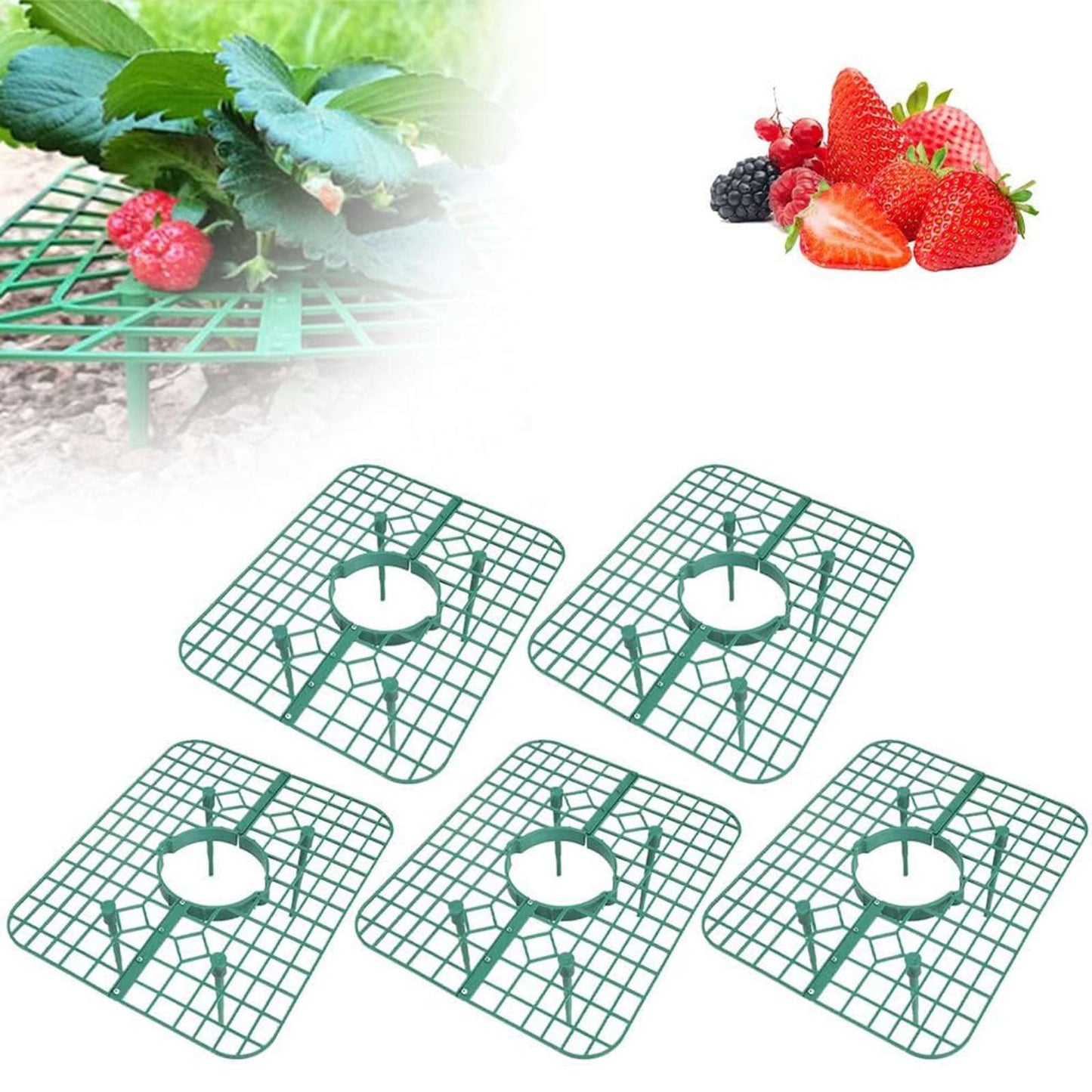 JWDX Rack Clearance, Strawberry Plant Support Strawberry Stand Keeping Strawberry Plants Clean Strawberry Growing Racks Strawberry Growing Frame(5Pcs) B