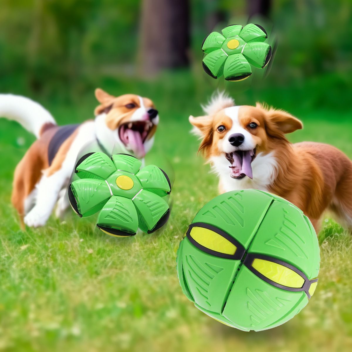 Frisbee Deformation Ball - green + 3 Light Version×5