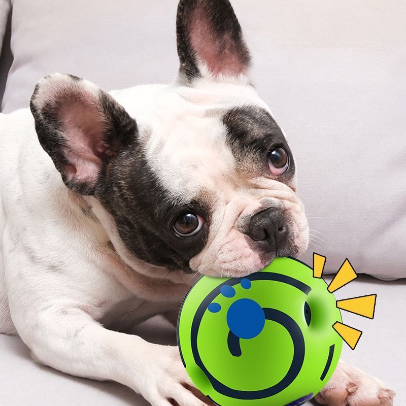 10cm Dog Squeaky Ball Color Box