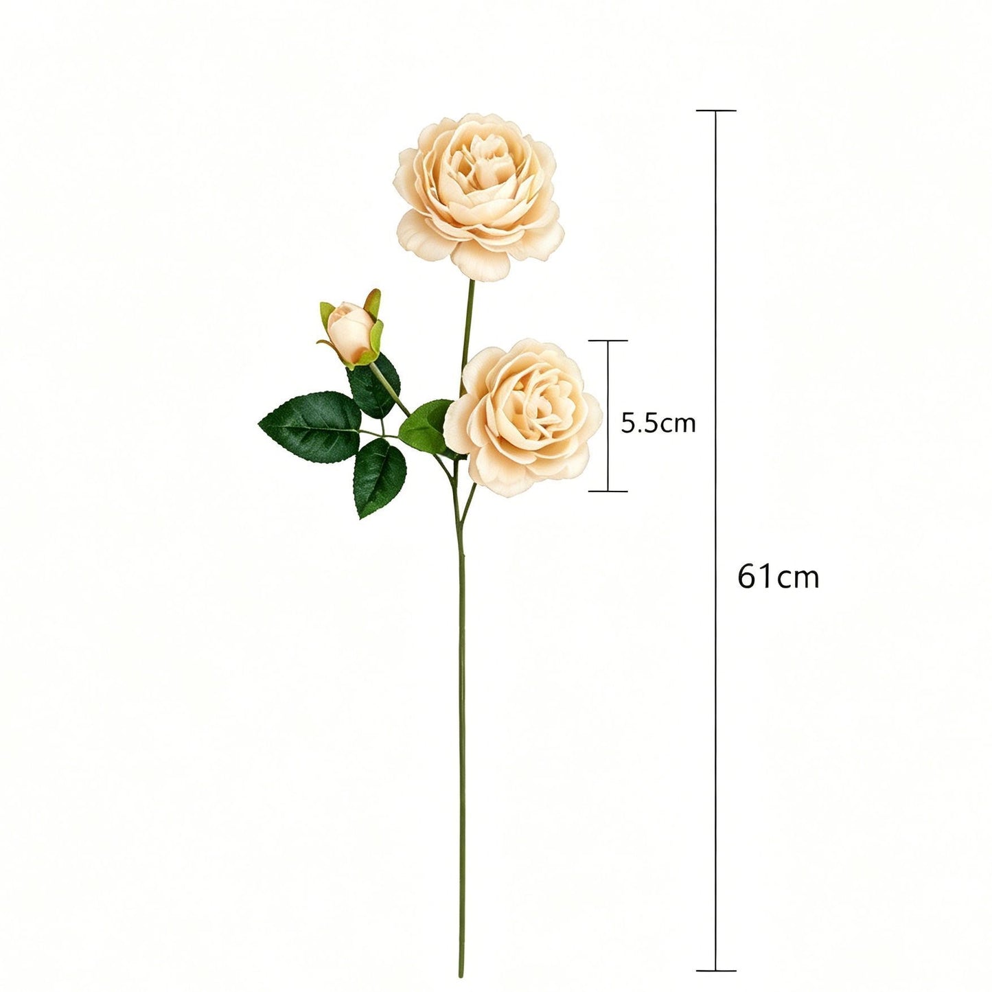 Artificial Champagne French Peony, Gentle Decor, 5 Pack