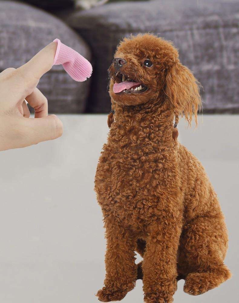 4-pack Dog Toothbrush Pet Finger Toothbrush for Teeth Cleaning, Multi-color