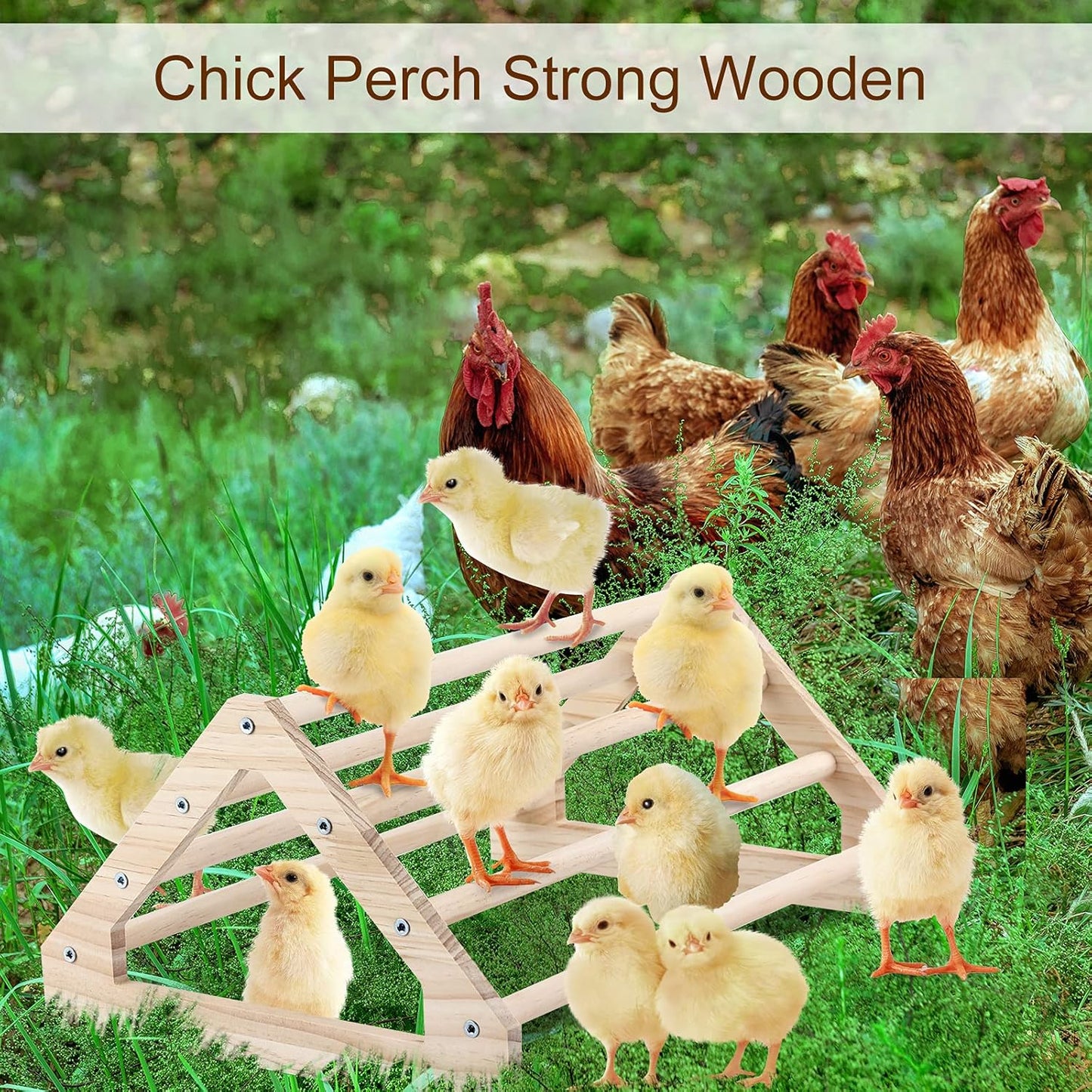 Wooden Chick Perch Stand, Pine Roosting Bar, Jungle Gym Perch Toys for Chicken Coop & Brooder, Bird Perch for Baby Chicks & Parrots (Large)