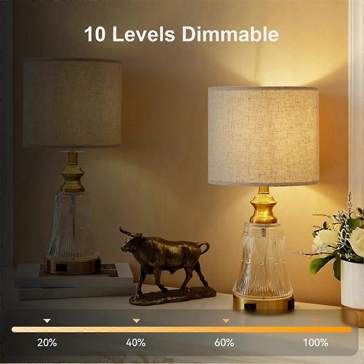 Rechargeable LED Bulbs with Remote E26 Battery Backup