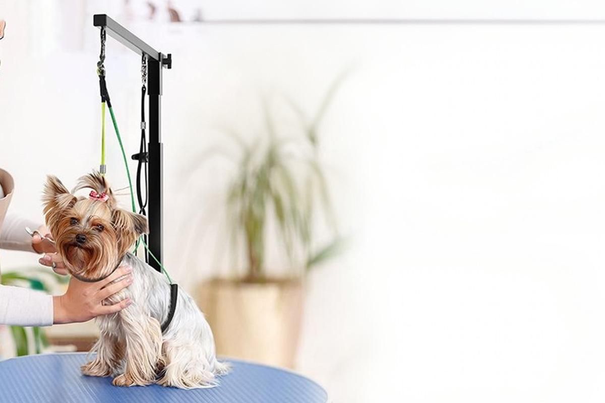 Dog Grooming Arm Pet Grooming Hammock Dog Grooming Stand with Loop Noose