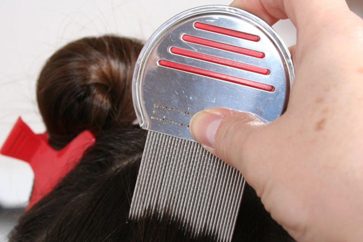 Stainless Steel Pet Flea Comb Fine Tooth Grooming Tool for Dogs Cats - Red