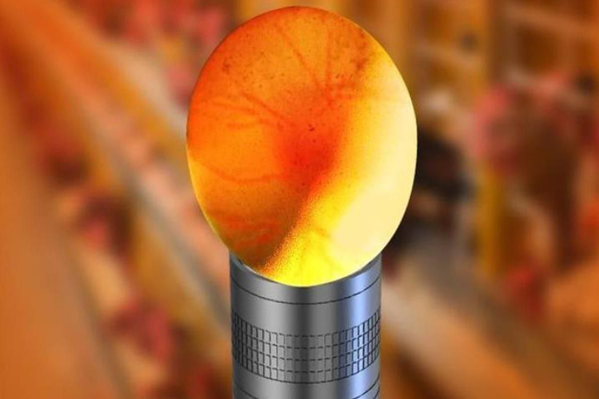 3 in 1 Egg Candler Light for Chicken Ostrich Eggs