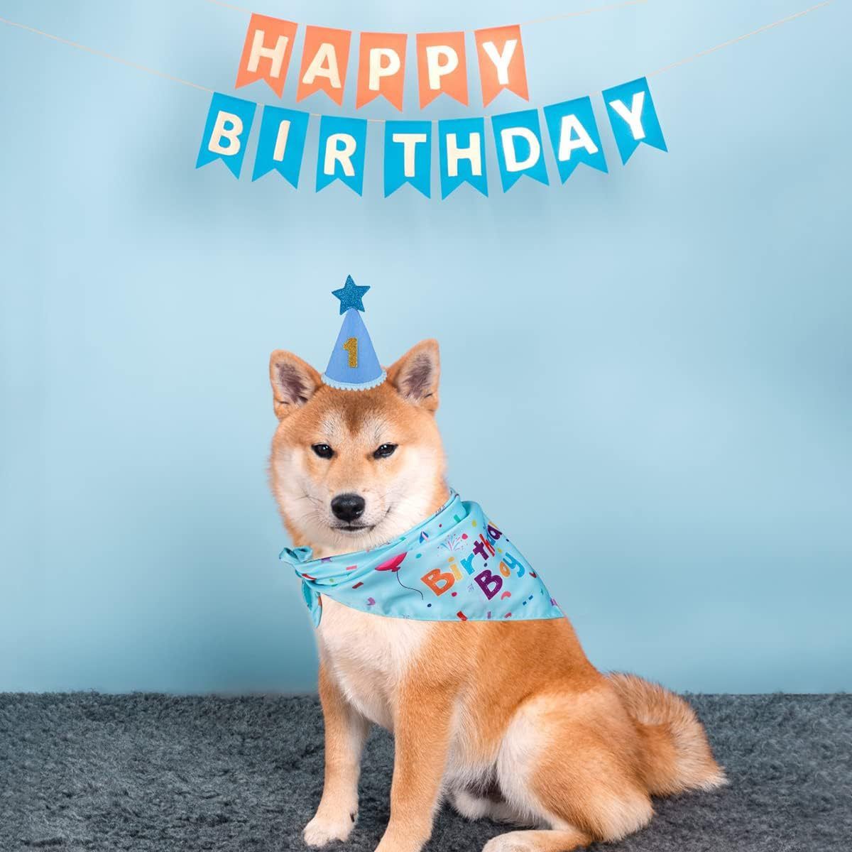Blue Pet Birthday Bandana and Hat Set - Soft Cotton, Double-Sided Print, Adjustable Party Hat with Number - Cute Dog Birthday Accessories for Photo Props and Celebration
