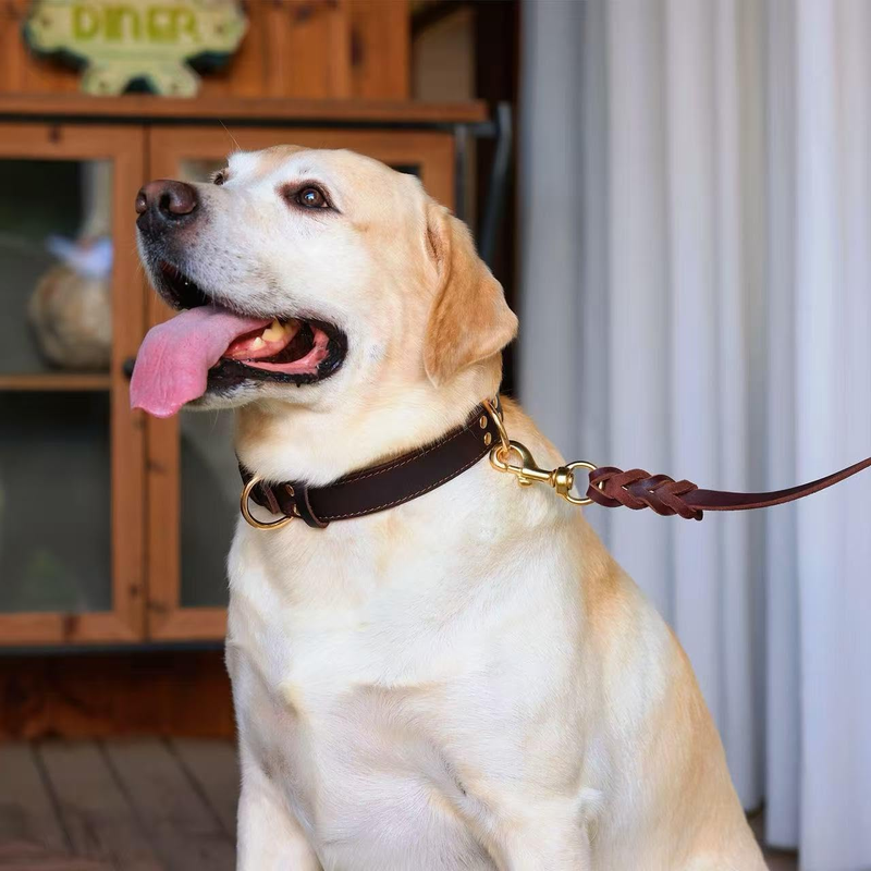 Premium Genuine Leather Dog Collar/Durable Real Leather Adjustable Collars For Male Female （size: XXL）