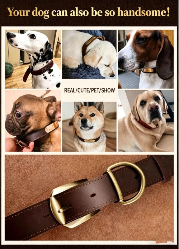 Premium Genuine Leather Dog Collar/Durable Real Leather Adjustable Collars For Male Female(XL,Black)