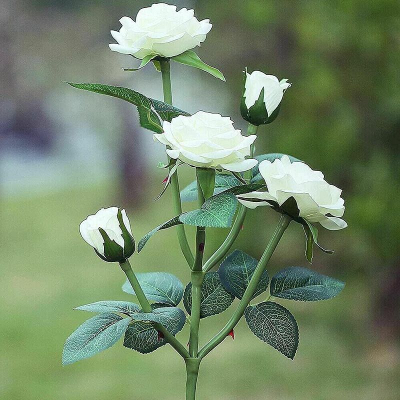 Solar Rose Flower Lights for Outdoor Garden Decor, White