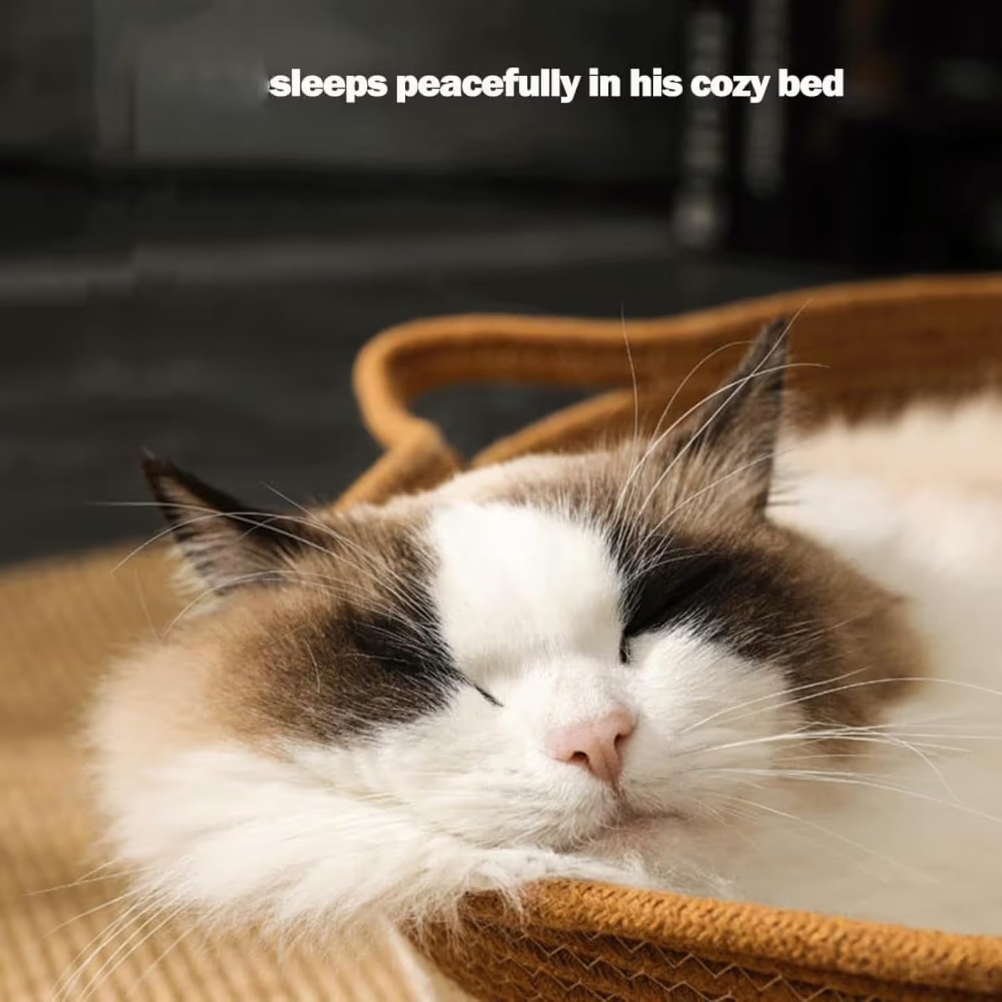 Cat Bed Rope Cotton, Cotton Rope Woven Round Cat Beds Basket with Built-in Teasing Ball, Handwoven Foldable Scratchable for Small & Large pet Gray（S）