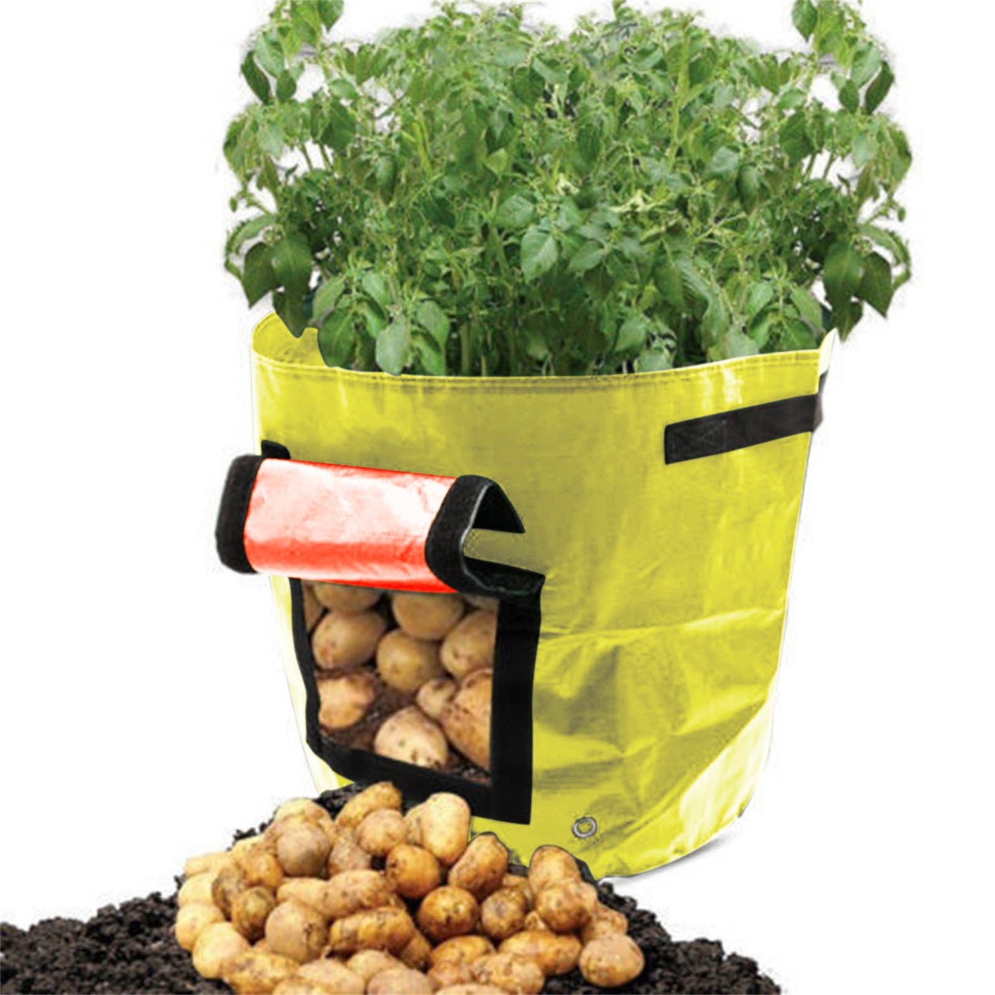 Suncoda Summer Savings 34x35cm Potato Grow Bag with Side Window & Handles 12" x 14" Gray#2