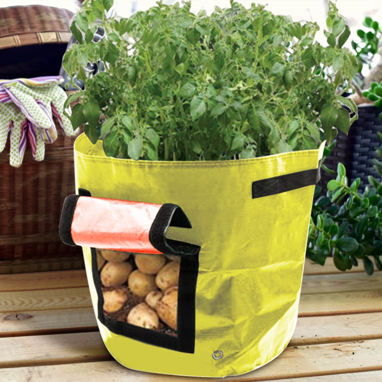 Suncoda Summer Savings 34x35cm Potato Grow Bag with Side Window & Handles 12" x 14" Gray#2