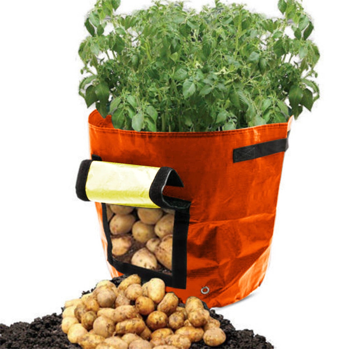 Suncoda Summer Savings 34x35cm Potato Grow Bag with Side Window & Handles 13" x 14" Orange#1