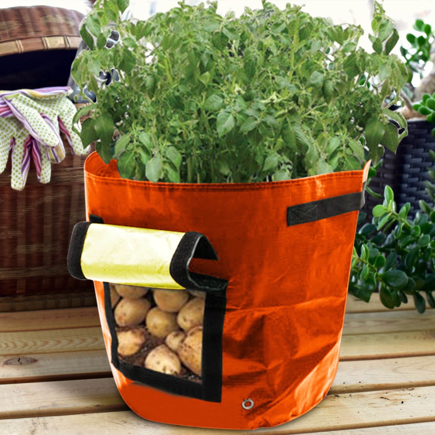 Suncoda Summer Savings 34x35cm Potato Grow Bag with Side Window & Handles 13" x 14" Orange#1