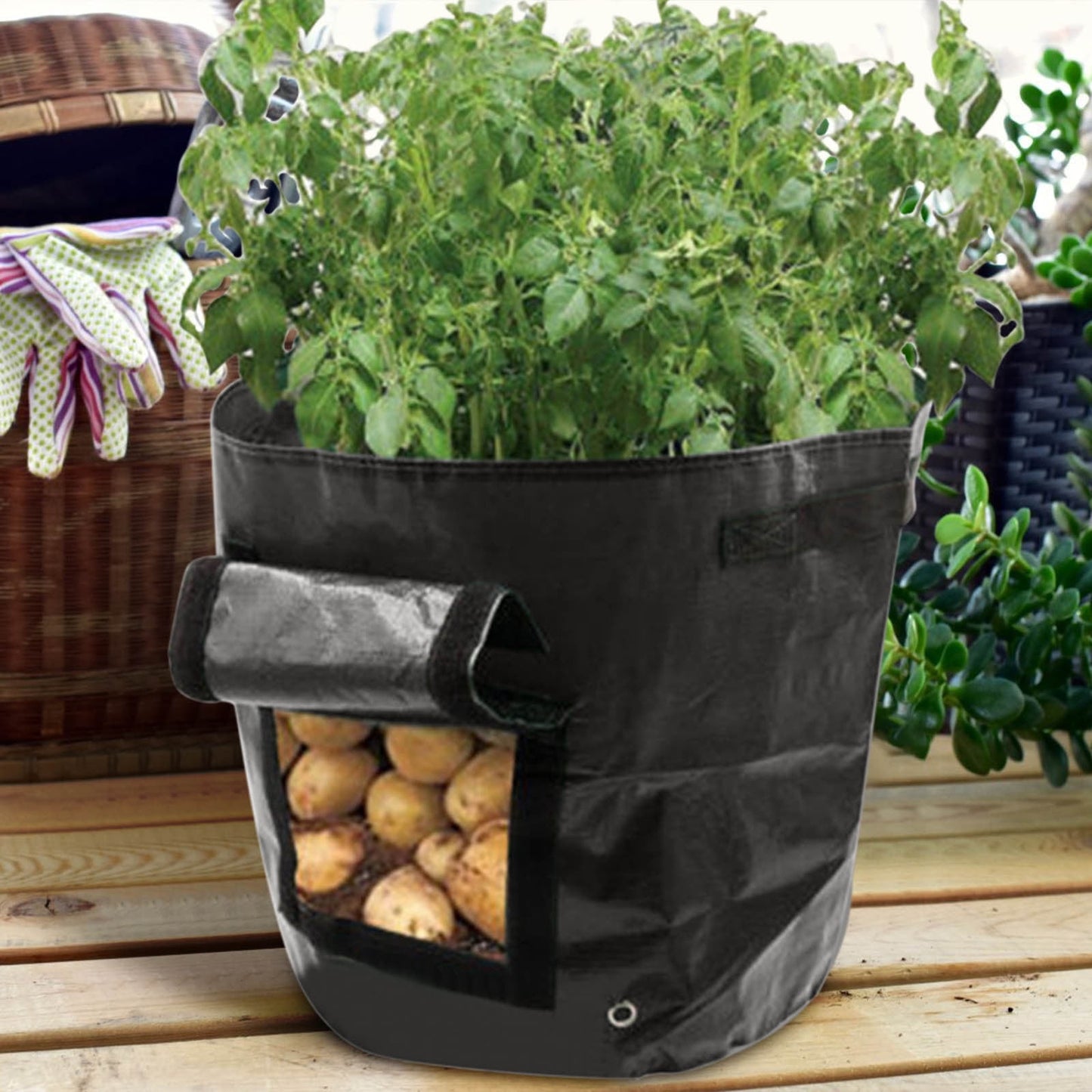 Suncoda Summer Savings 34x35cm Potato Grow Bag with Side Window & Handles 14" x 20" Yellow#4