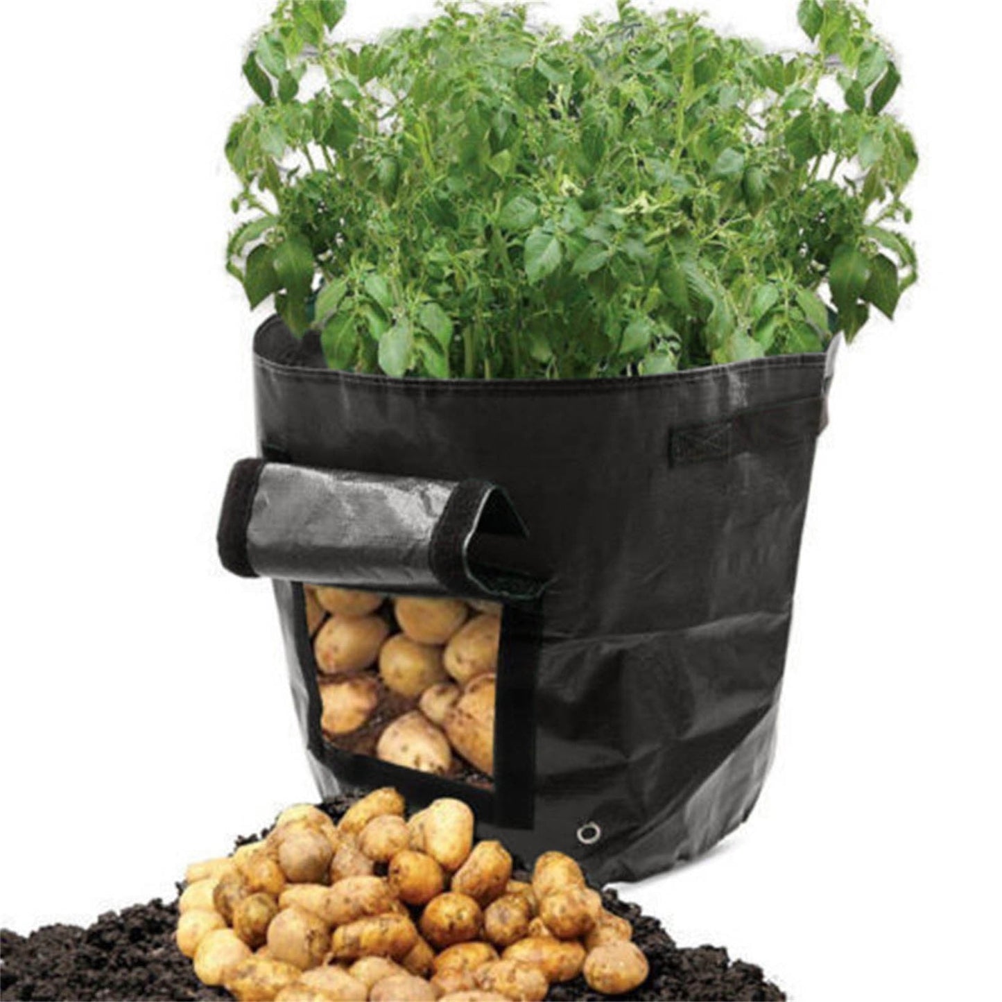 Suncoda Summer Savings 34x35cm Potato Grow Bag with Side Window & Handles 14" x 20" Yellow#4