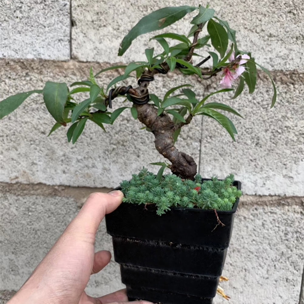 SWETRACE Planter Resin Black For Family 1Pc 4.7X4.4In 12X11.1CM Black