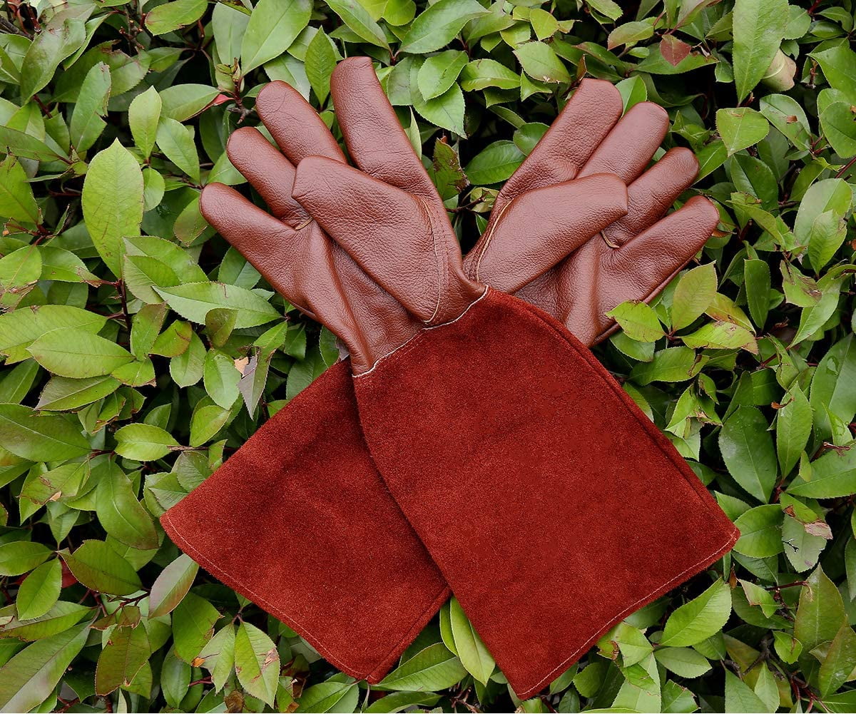 SUCCLACE Long-Gardening-Gloves for Women/Men - Thorn Proof Cowhide Leather Rose/Blackberry Pruning Heavy Duty Gloves Thick Palm Gauntlet Garden Work Gloves with Forearm Protection (Brown-Small) XL Brown