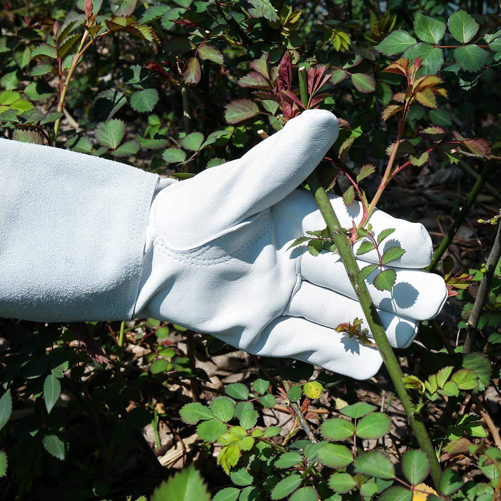 SUCCLACE Long-Gardening-Gloves for Women/Men - Thorn Proof Cowhide Leather Rose/Blackberry Pruning Heavy Duty Gloves Thick Palm Gauntlet Garden Work Gloves with Forearm Protection (Brown-Small) M White