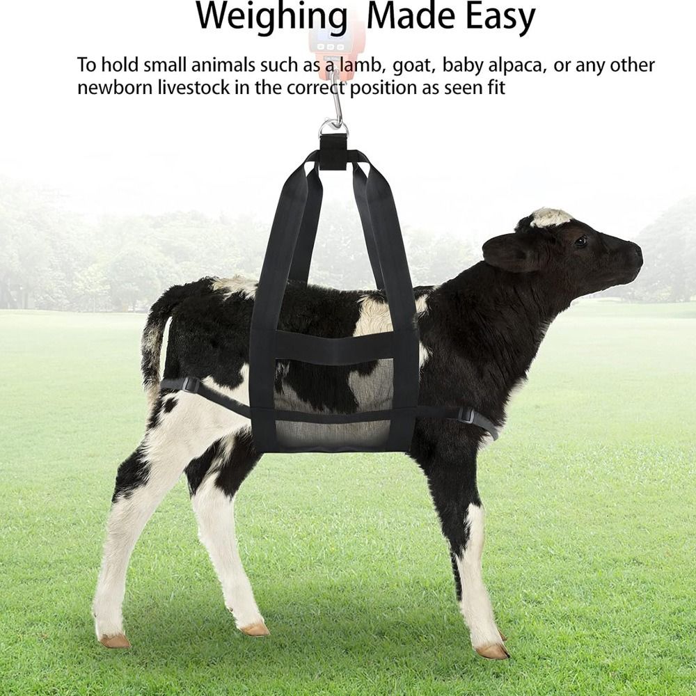 Calf Sling for Weighing Animals - Calf Scale Hanging Weight Scale Sling with Adjustable Straps for Weighing Calves Lambs Goats Baby Alpacas Newborn Livestock Dogs