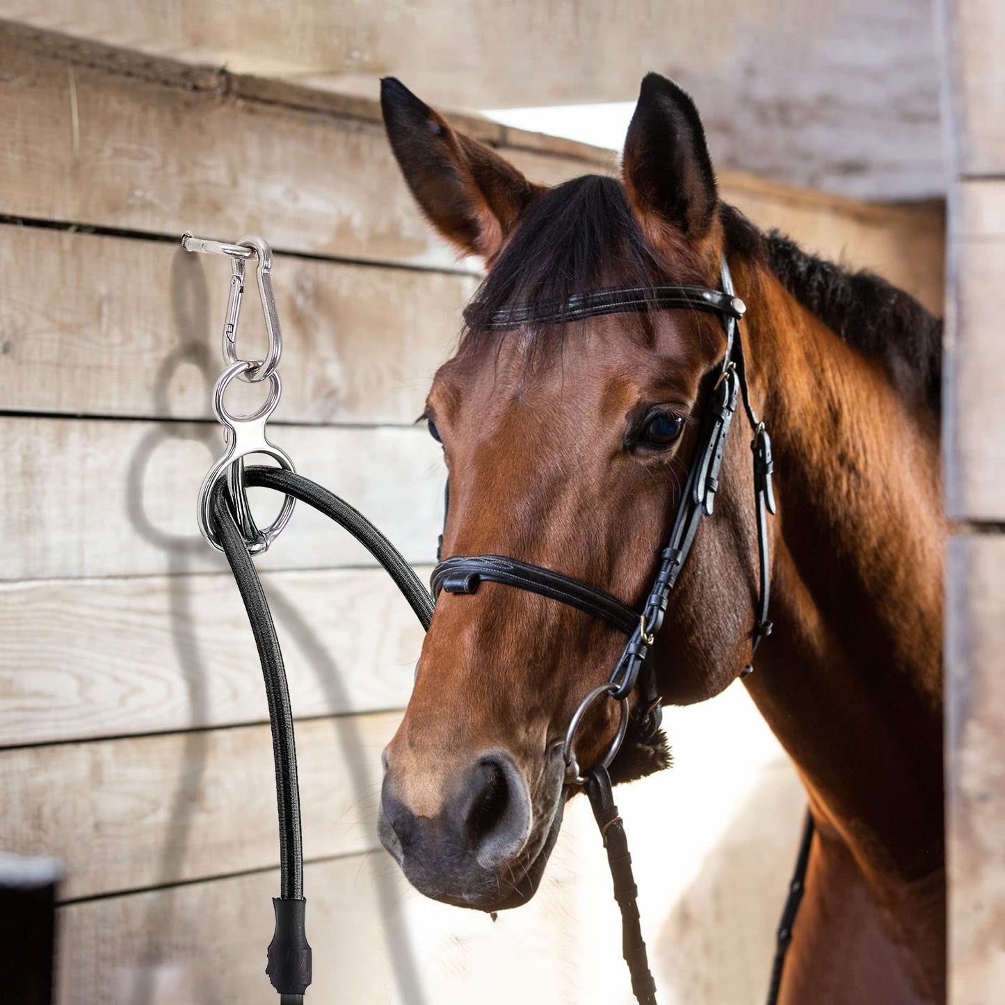 2 Sets Horse Tie Ring, Horse Tack and Supplies Horse Training Equipment Safe Horse Accessories with Eye Bolt, Tie Rings (Silver)