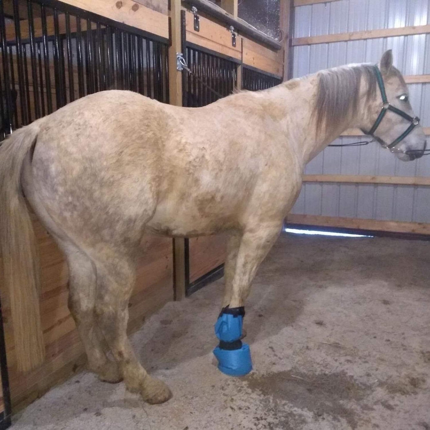 Easy Use Hoof Soaking Boot for Horse Soaker Bag Equine Soaking Boot Hooves Care Treatment Bucket Soaker Sack 3 Elastic Bands（32*4）