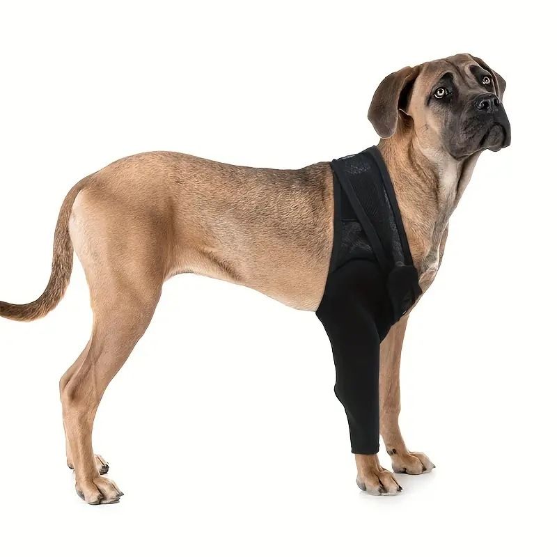 Dog Recovery Socks - Waterproof Paw Protectors with Non-Slip Sole | Post-Surgery Boots for Wound Protection | Anti-Licking Sleeves for Dogs (Black, L)