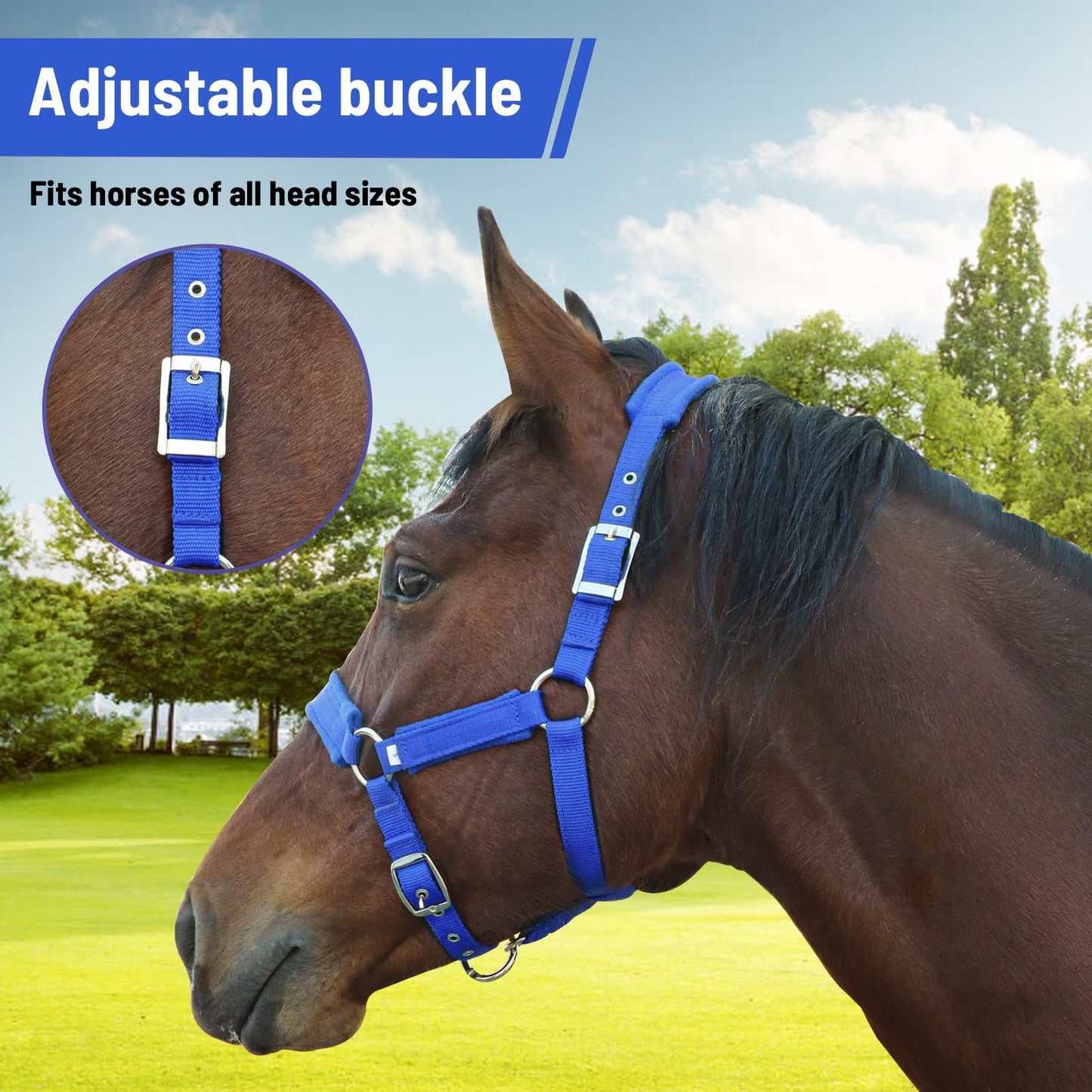 Adjustable Cow Halter with Lead Rope - All-Purpose Livestock Halter for Cattle, Calf, Donkey, Goat, and Miniature Horse (Blue,large size)