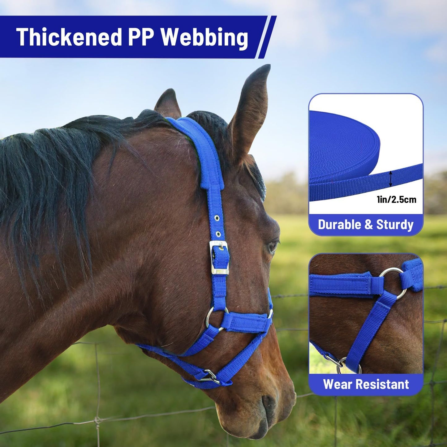 Adjustable Cow Halter with Lead Rope - All-Purpose Livestock Halter for Cattle, Calf, Donkey, Goat, and Miniature Horse (Blue,large size)