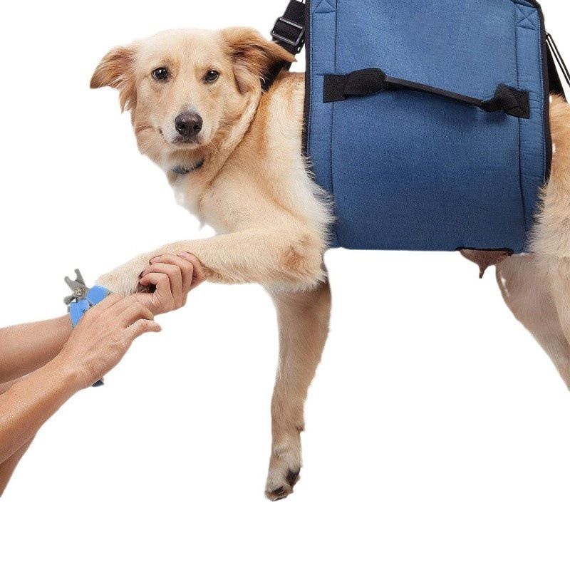 Dog Carry Sling, Emergency Backpack Pet Legs Support & Rehabilitation Dog Lift Harness for Nail Trimming, Dog Carrier for Senior Dogs Joint Injuries, Arthritis, Up and Down Stairs(L, Blue)