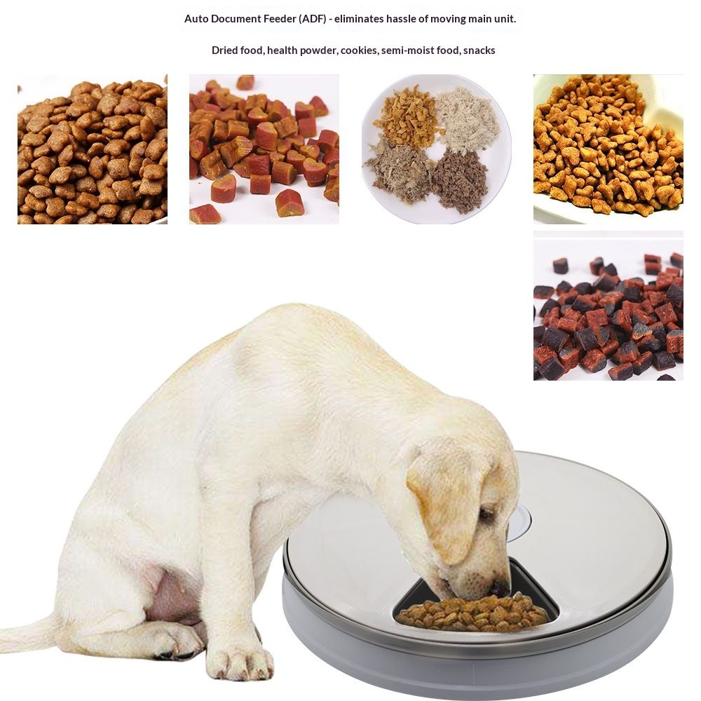 Automatic 6 Bowl Digital Timer-Controlled Pet Feeder - for Cats and Small Dogs, Wet or Dry Food  Battery Operated, BPA-Free
