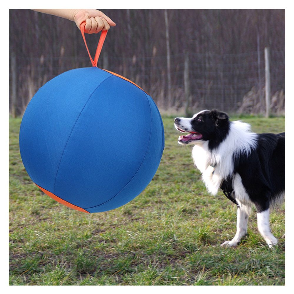 Herding Ball for Dogs, 18" Large Ball Interactive Dog Toys for Medium & Large Dogs, Complete Set Dog Ball with Hand Pump, Horse Ball for Playing, Pet Ball Toy with Handle for Gifts