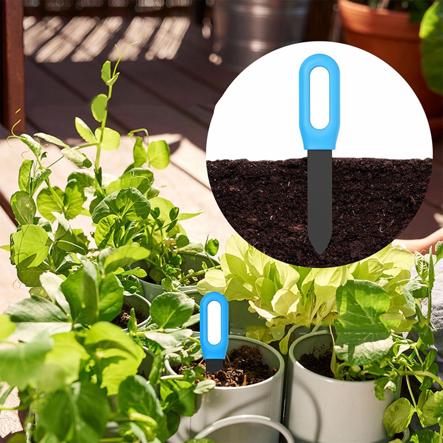 Soil Moisture Meter ,Plant Water Monitor,Automatically detect Moisture/Temperature/Light/Fertility,Can Connect to Mobile Phone via Bluetooth,Hygrometer Sensor for Indoor Plants (1pc)