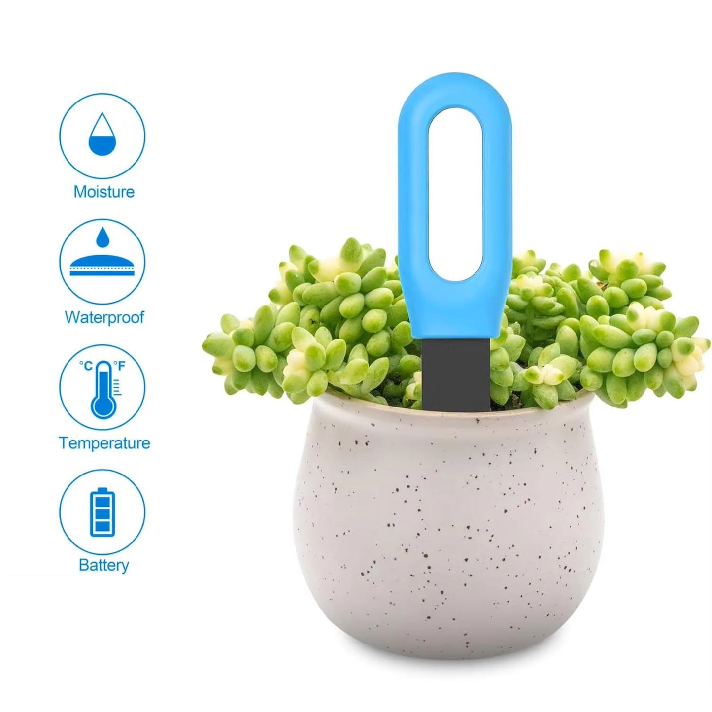 Soil Moisture Meter ,Plant Water Monitor,Automatically detect Moisture/Temperature/Light/Fertility,Can Connect to Mobile Phone via Bluetooth,Hygrometer Sensor for Indoor Plants (1pc)