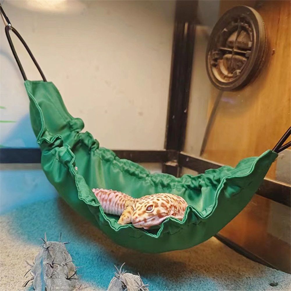2 pack Reptology Lizard Hammock with Suction Cups Bearded Dragon Tank Accessories Reptile Lounger for Chameleon, Snakes, Hamster