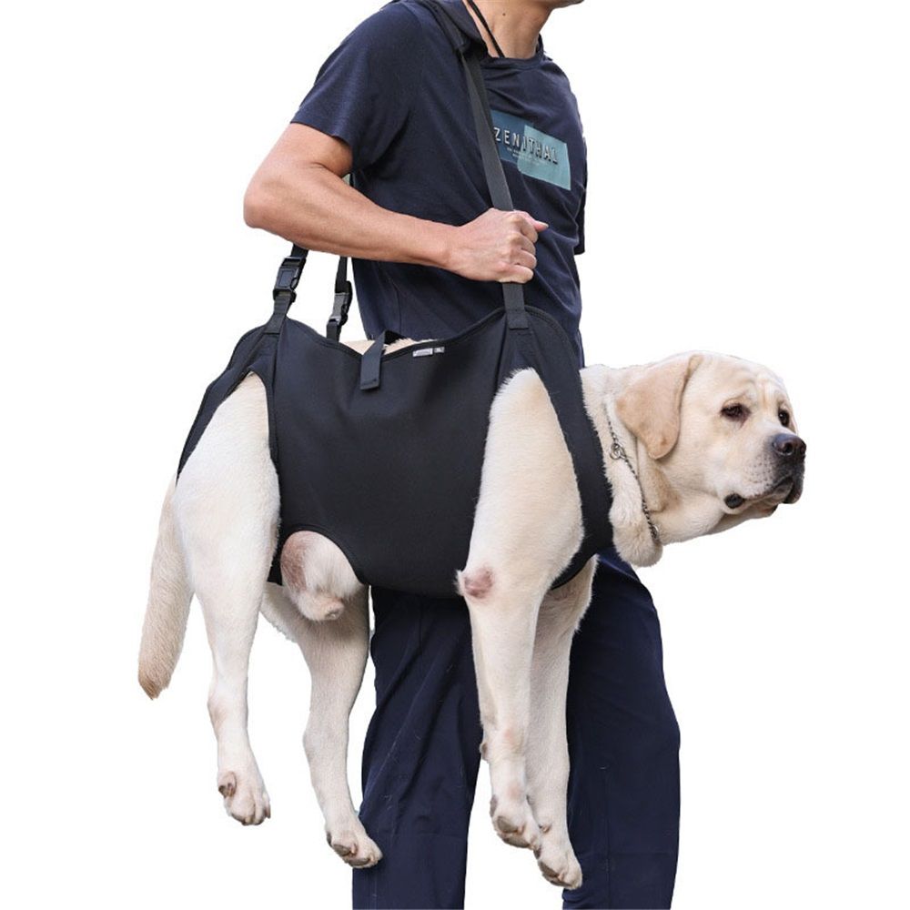 Full Body Lift Harness for Dogs,Canine Support Rehabilitation Dog Carrier Slings with Handles,Adjustable Lifting Straps Full Body Dog Lifting Harness (M)