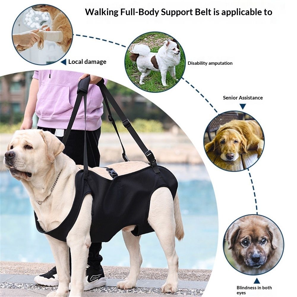 Dog Lift Harness, Emergency Backpack Pet Legs Support & Rehabilitation Sling Carrier, Adjustable Lifting Straps Carrier for Senior Elderly Dogs Joint Injuries Arthritis S