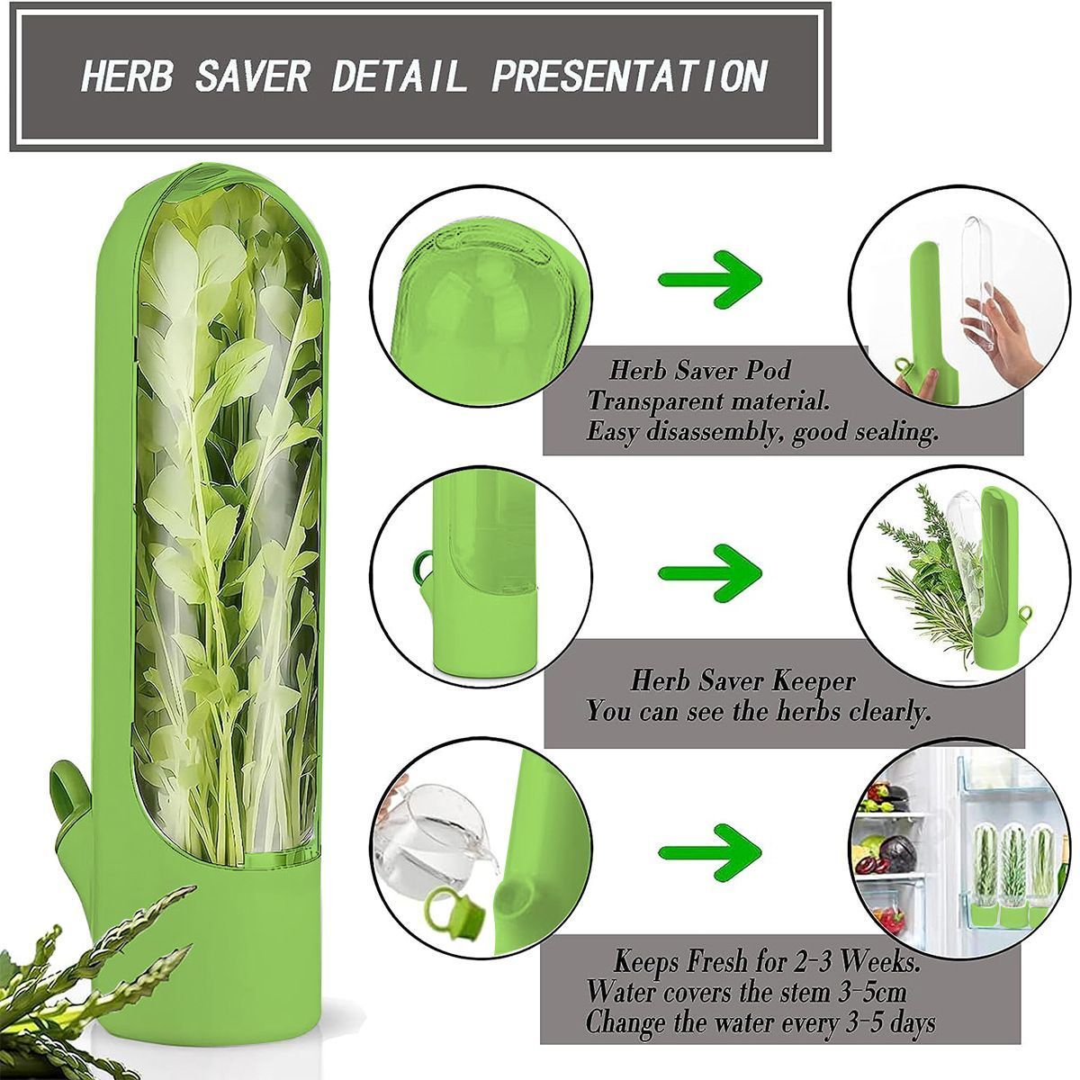 4Pcs Herb & Vegetable Fresh Storage Containers-green