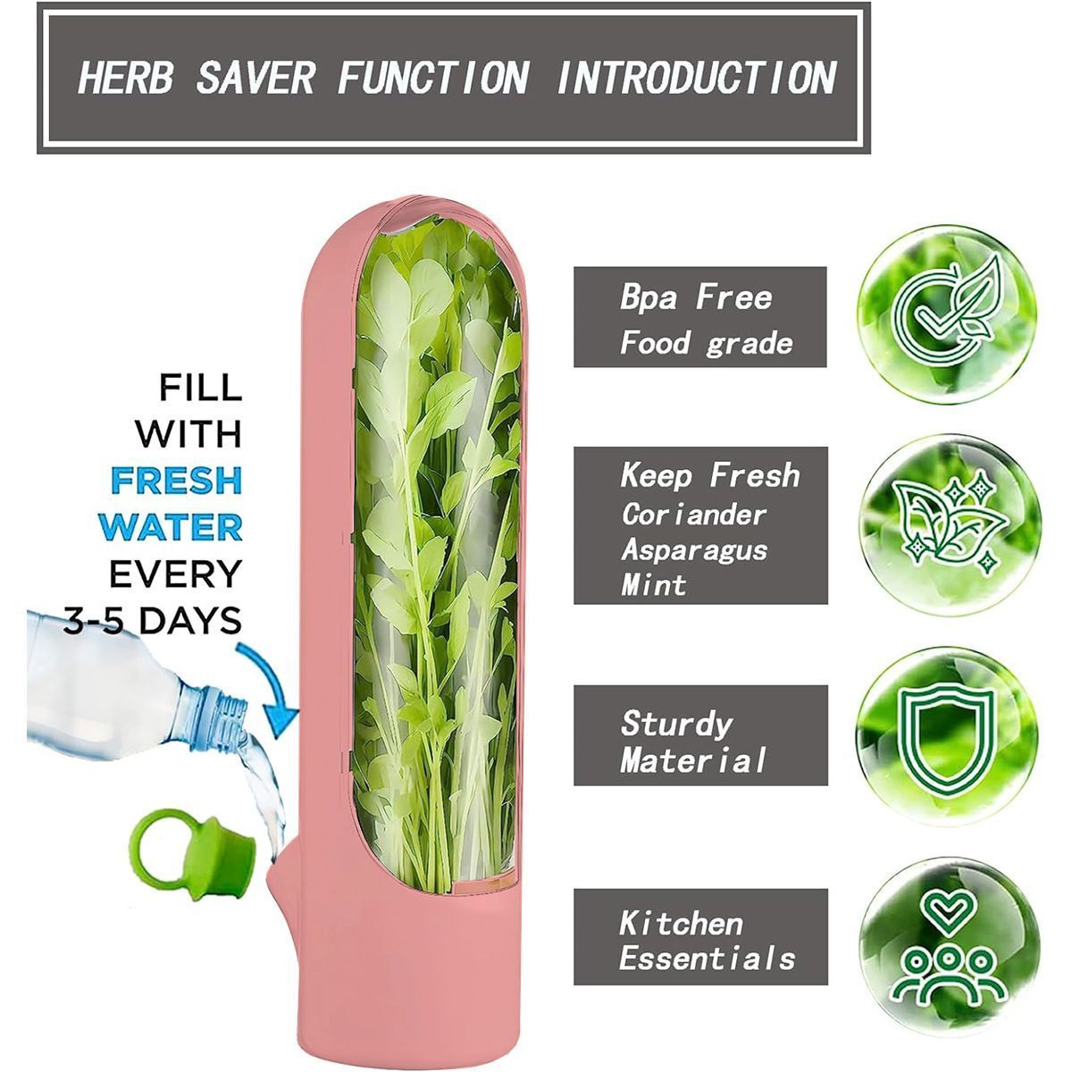 4Pcs Herb & Vegetable Fresh Storage Containers-White