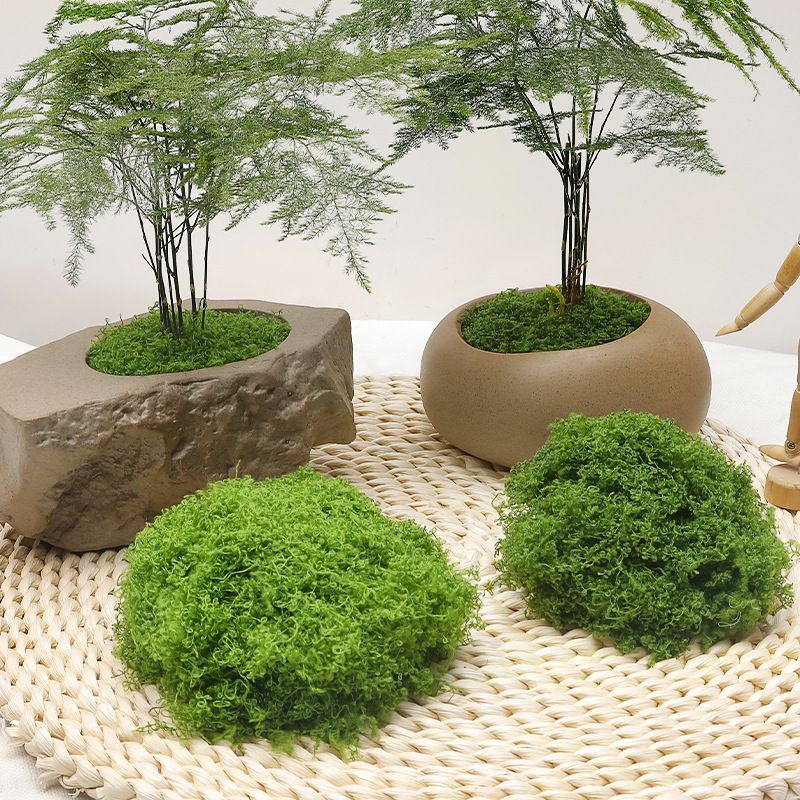 Bulk Artificial Light Green Stringy Moss 500g