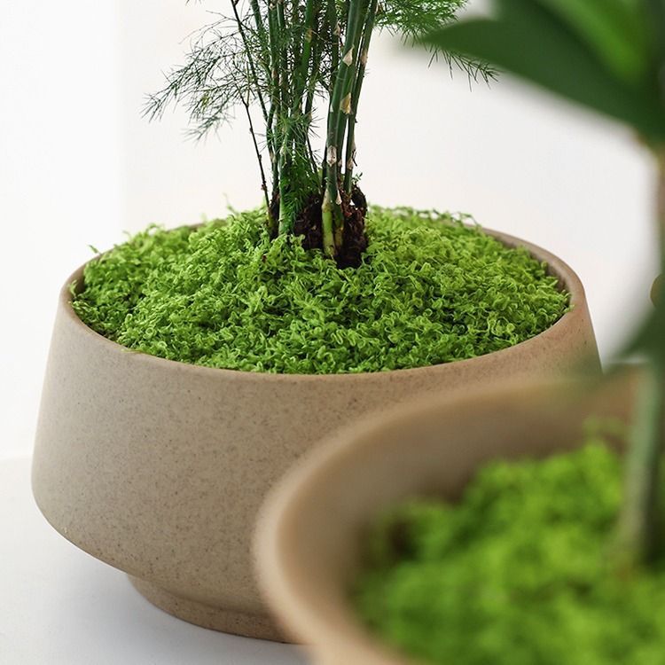Dark Green Artificial Stringy Moss 50cm×100cm