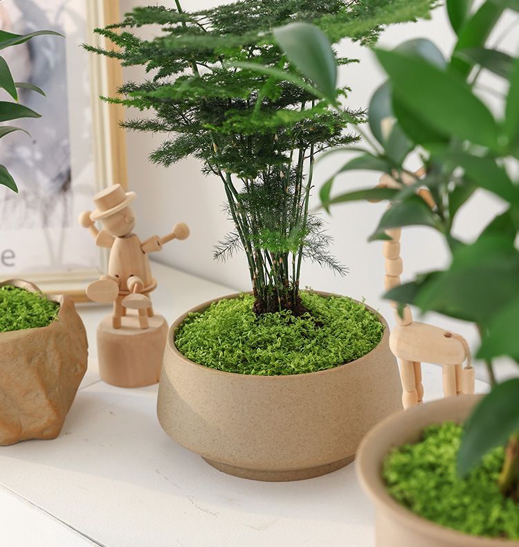 Dark Green Artificial Stringy Moss 50cm×50cm