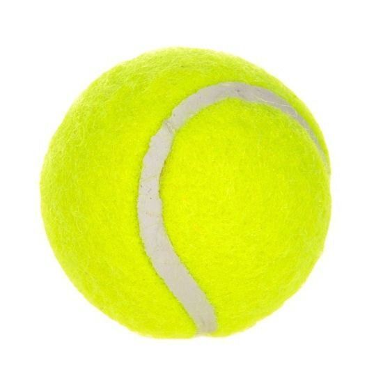 Fluorescent Yellow Dog Tennis Balls 6-Pack - 2 Inch