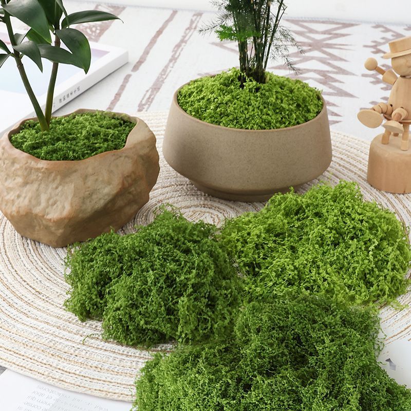 Light Green Artificial Stringy Moss 50cm×100cm