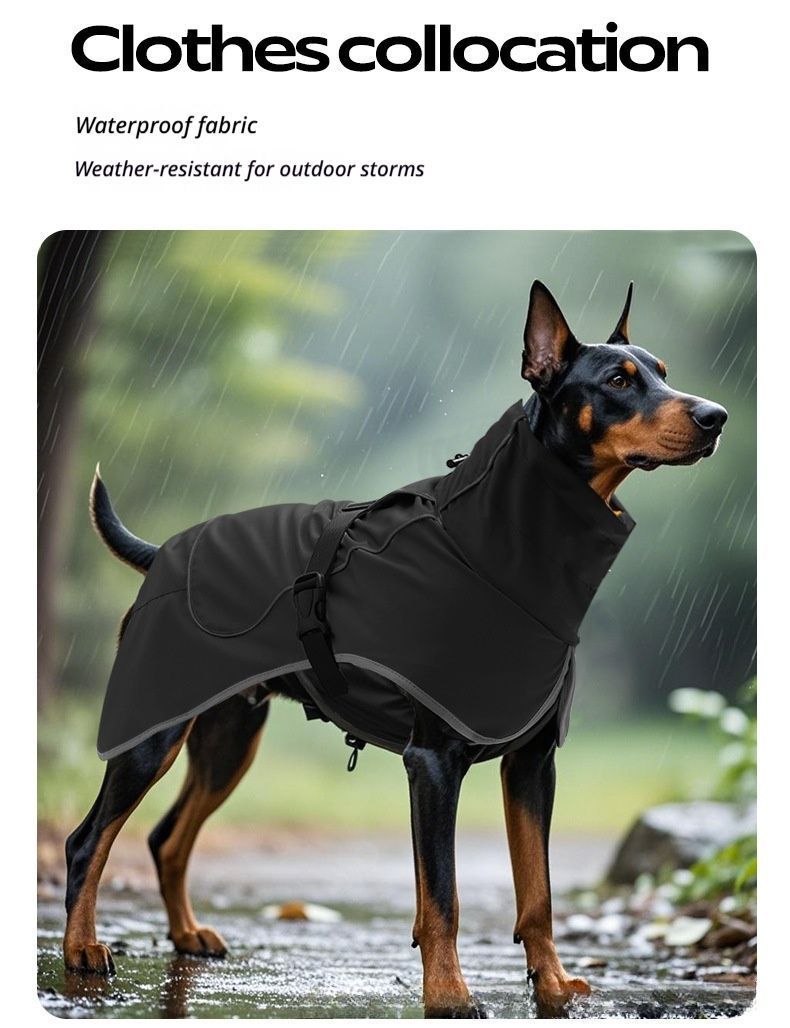 Winter Warm Pet Coat, Outdoor Cold Proof Dog Jacket-black
