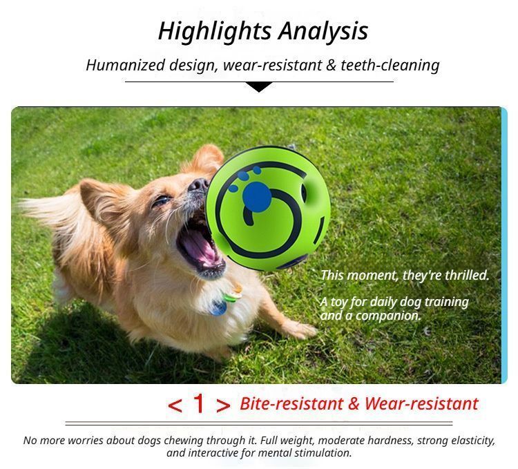 10cm Dog Squeaky Ball Color Box