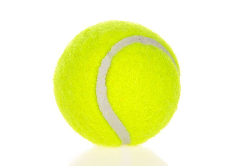6-Pack 2inch Yellow Dog Tennis Balls