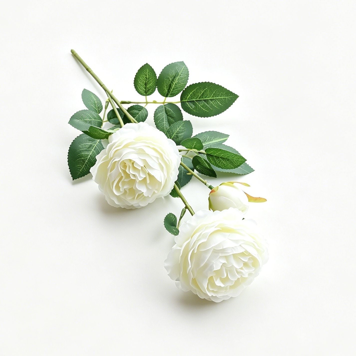 Artificial White French Peony, Soft Decor, 5 Pack