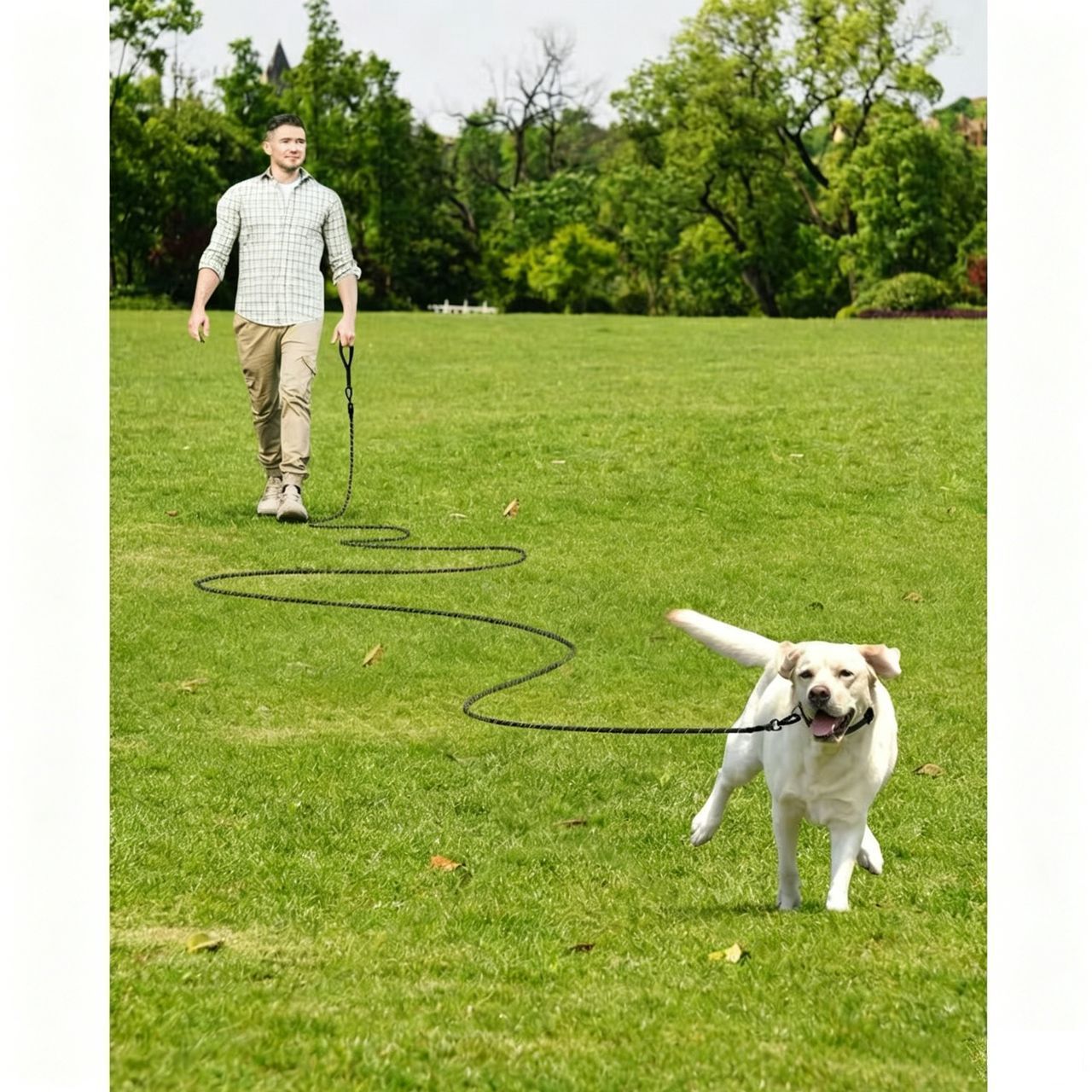 Large Dog Leash Black